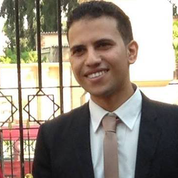 Mahmoud Fawzy-Freelancer in Cairo,Egypt