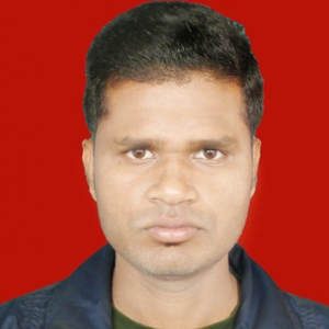 Swadesh Ranjan Bera-Freelancer in MEDINIPUR,India