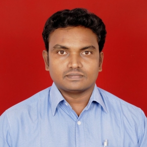 P V Prabhakar-Freelancer in Bengaluru,India