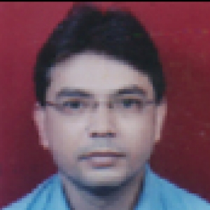 Anjan Arinda-Freelancer in Kolkata,India