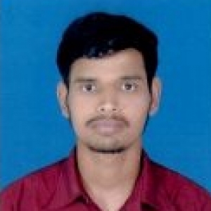 PRABUDDHA SUBHASH WAKADE-Freelancer in BRAMHAPURI,India
