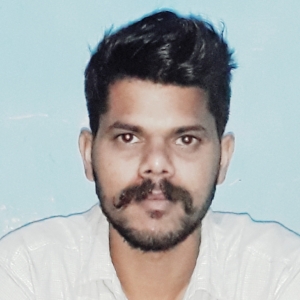 Pradeep Kumar Ed Snowden-Freelancer in Chandigarh,India