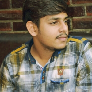 Ashish Agarwal-Freelancer in ,India