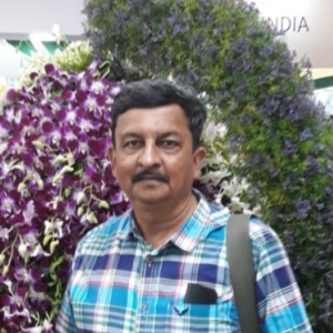 Upendra Gadgil-Freelancer in Pune,India