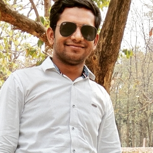 Ajay Gupta-Freelancer in ,India