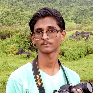 Saifuddin Mansoori-Freelancer in Bhiwandi,India