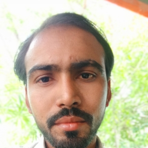 Dinesh Parmar-Freelancer in ,India