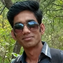 Rampratap Roru-Freelancer in Bikaner,India