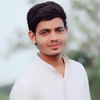 Ashish-Freelancer in VISAVADAR,India