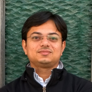 Rohit Patel-Freelancer in ,India
