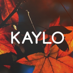 Kayode Lowo-Freelancer in Greater Atlanta Area,USA