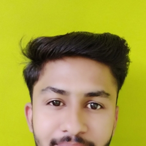 Sunil Sain-Freelancer in Didwana,India