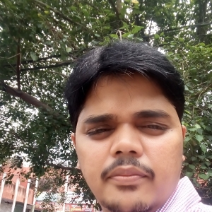 Ajit Srivastava-Freelancer in Delhi,India