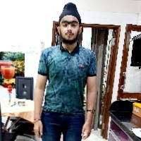 Harjas Singh-Freelancer in Agra,India