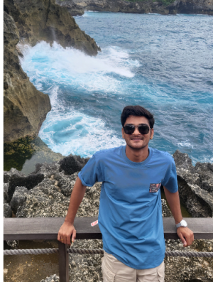 Shashwat Hirapure-Freelancer in Tirora (Nagpur),India