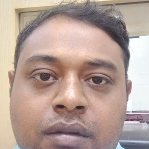 Subhankar Dutta-Freelancer in Halisahar,India