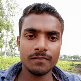 Danish Malik-Freelancer in Meerut,India