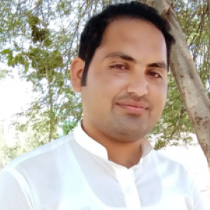 Muhammad Tanveer Hussain-Freelancer in Lodhran,Pakistan