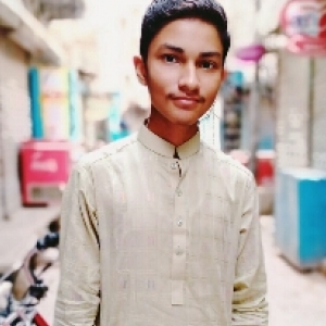 Waqas Hussain-Freelancer in Sukkur,Pakistan