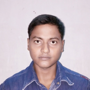 Biki Mridha-Freelancer in Kolkata,India