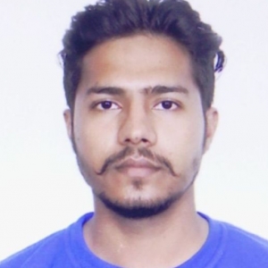 Mohit Dhiman-Freelancer in YAMUNANAGAR,India