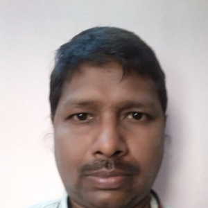 Nitesh Kumar Gupta-Freelancer in varanasi,India