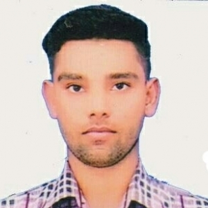 Navneet Kumar-Freelancer in Noida,India