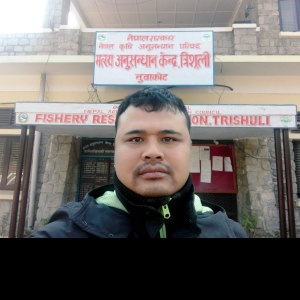 Sajan Prajapati-Freelancer in Kathmandu,Nepal