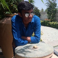 Siddharth Kapadiya-Freelancer in ,India