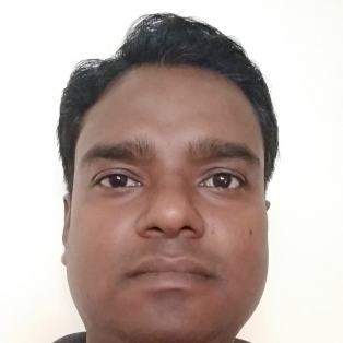 Hemant Choudhary-Freelancer in Bhilai,India