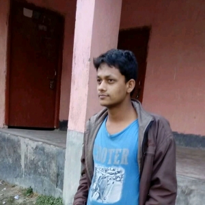 Ashish Raj-Freelancer in ,India