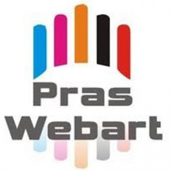 Praswebart-Freelancer in Pune,India