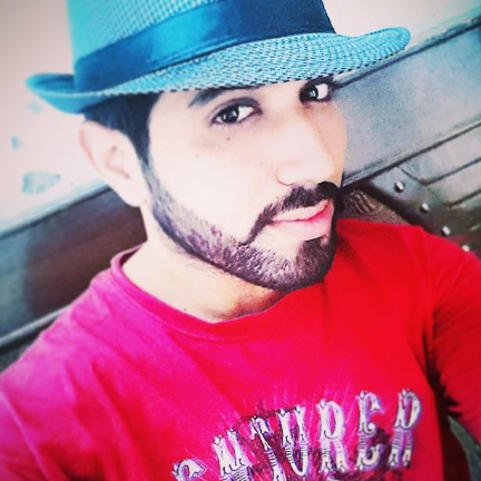 Harvinder Singh-Freelancer in chandigarh,India