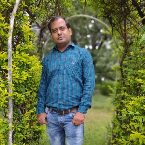 Dinesh Kumar Nagar-Freelancer in ,India
