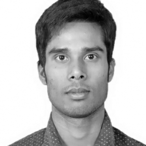 Md Nasir Hussain-Freelancer in ,India