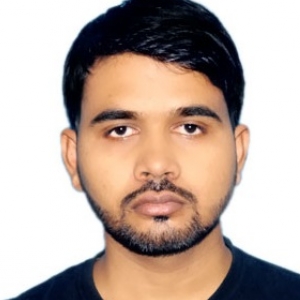 Bhupendra Yadav-Freelancer in Greater Noida,India