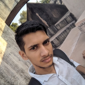 Naveen Saharan-Freelancer in Delhi,India
