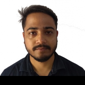 Deepsundar Borthakur-Freelancer in ,India