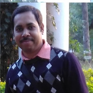 Manish Soni-Freelancer in Mungeli ,India