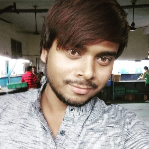 Sandeep Nishad-Freelancer in ,India