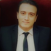 Kamel Hessien-Freelancer in ,Egypt