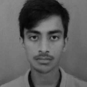 Rahul Saha-Freelancer in Kolaghat,India