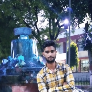 Shamsher Ali-Freelancer in Muradnagar,India