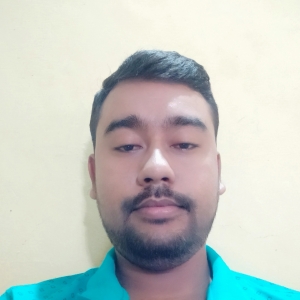 Ashoke Nath-Freelancer in ,India