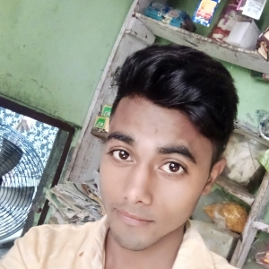 Mo Harun-Freelancer in Agra,India