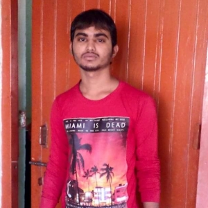 Nirbhay Kumar-Freelancer in Bhagalpur,India