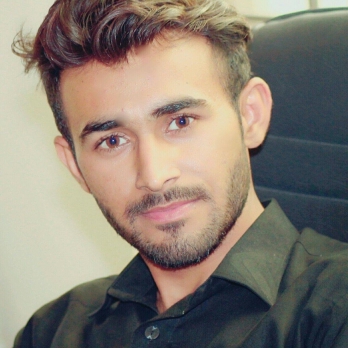 Muhammad  Waqas Haider-Freelancer in Abbottabad,Pakistan