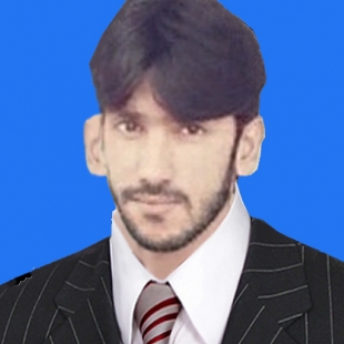 Aadil Majeed-Freelancer in Rawalpindi,Pakistan