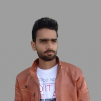 Lokesh Kumar Meena-Freelancer in Jaipur,India