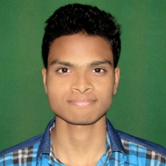 Bhupendra Kumar Sahu-Freelancer in Raipur,India